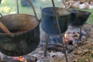 Vitlycke bronsåldersgård Tanum, 2019